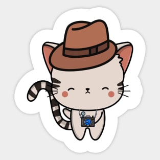 Funny Tabby cat is holding a camera Sticker